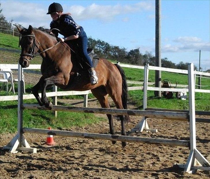 Kvinde Pernille - Arbjede:) billede 6