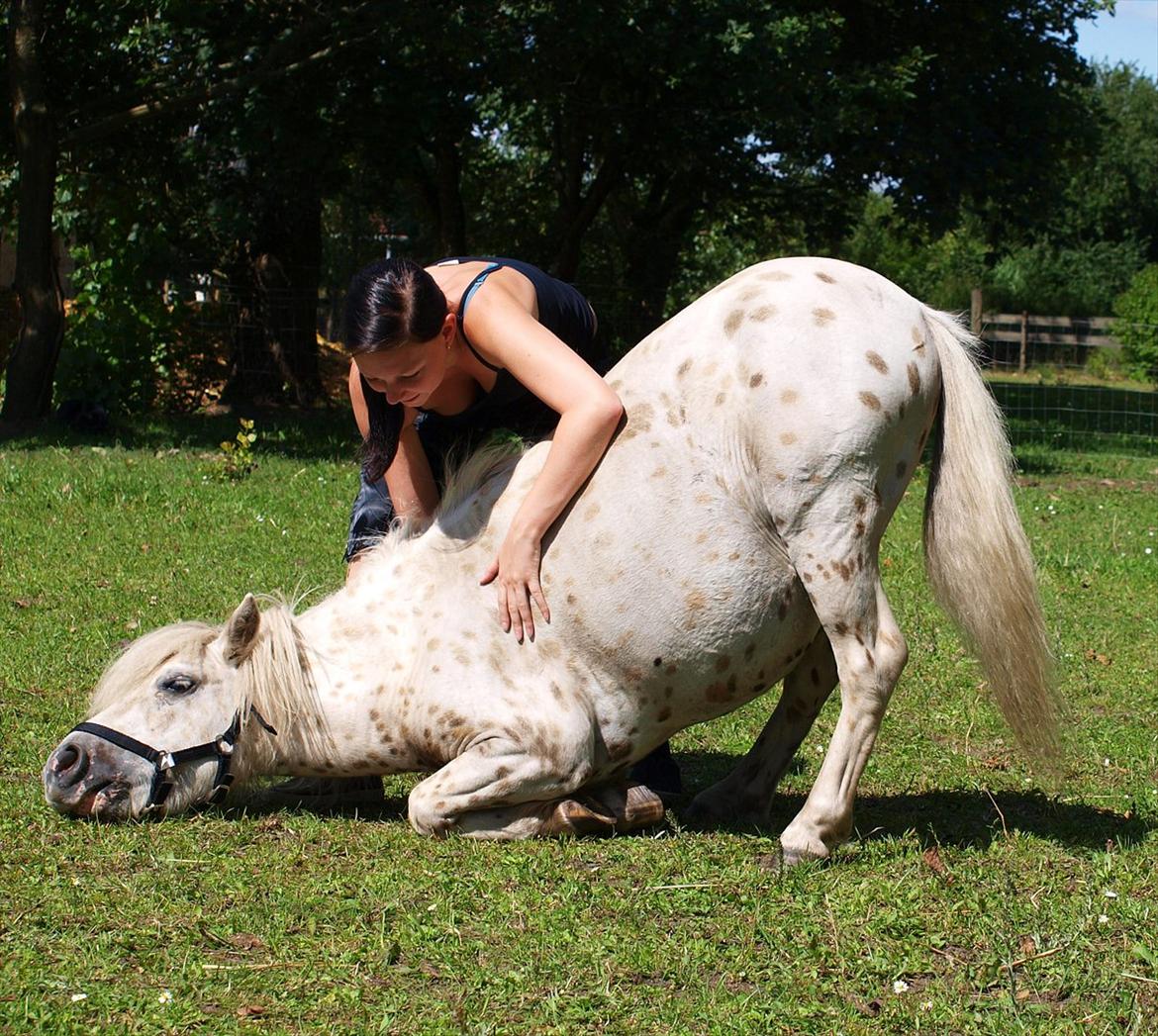 Kvinde Julie Kit - Træning med min gamle pony.  billede 6