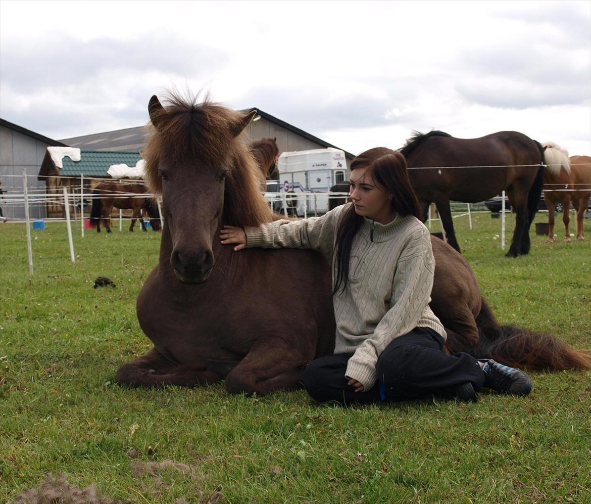 Kvinde Julie Kit - Min tidligere konkurrencehest :) billede 10