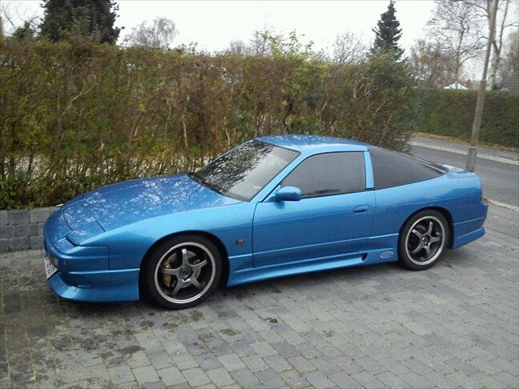 Mand Strandløven billede 6