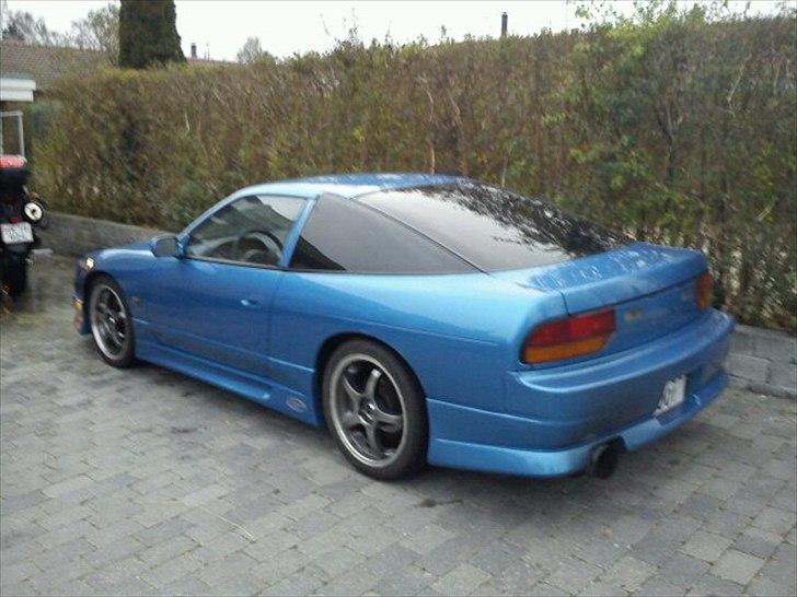 Mand Strandløven billede 7