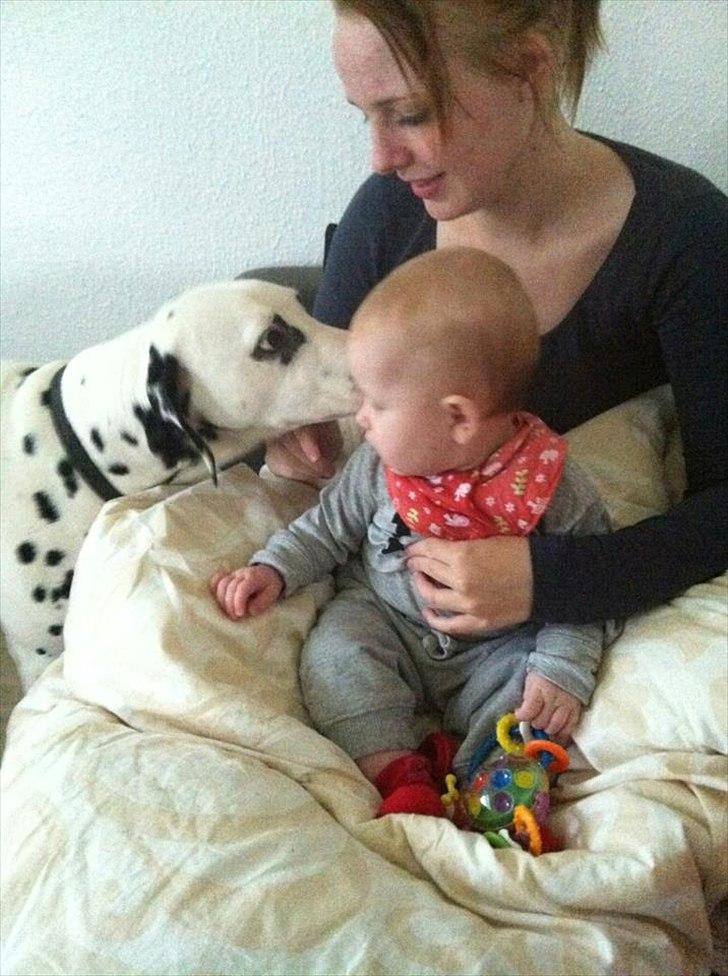 Kvinde Sabrina Folmann ;* - <3 billede 13