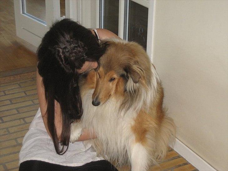 Kvinde Maja - Min dejlige hund Lady.
 billede 4