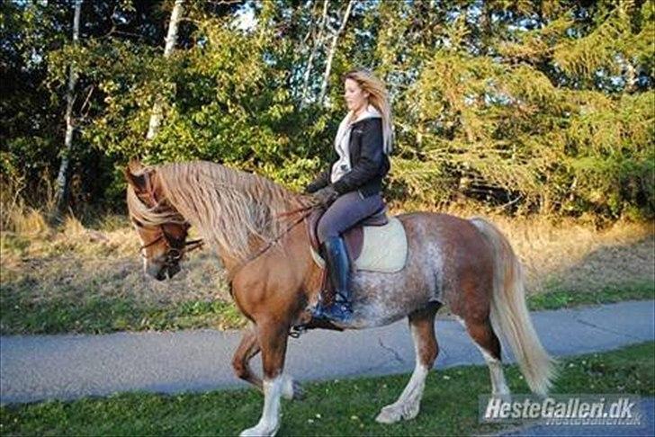 Kvinde Maja - Gammelt, Thibaud og jeg :) billede 13