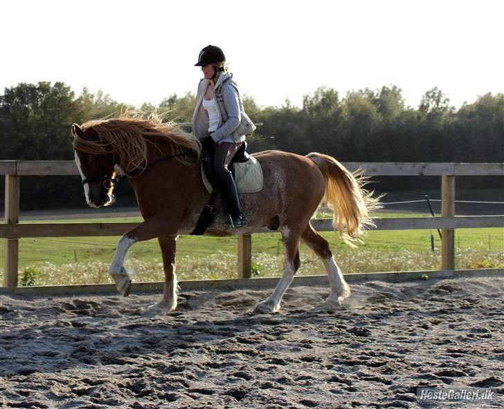 Kvinde Maja - Thibaud og jeg igen billede 19