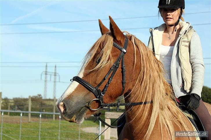 Kvinde Maja - Nu til hest :) billede 20