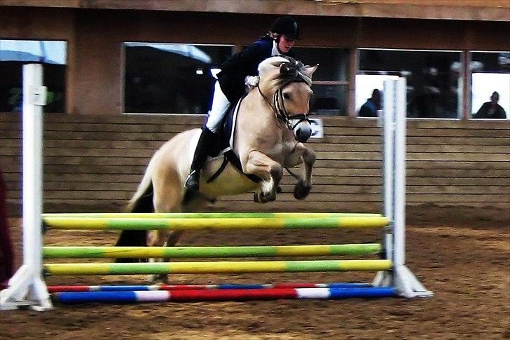 Kvinde Mathilde - Alle dyr undtagen mennesker ved, 
at livets overordnede mening er, 
at man skal nyde livet. || Min dejlige fritidsinteresse!  billede 17