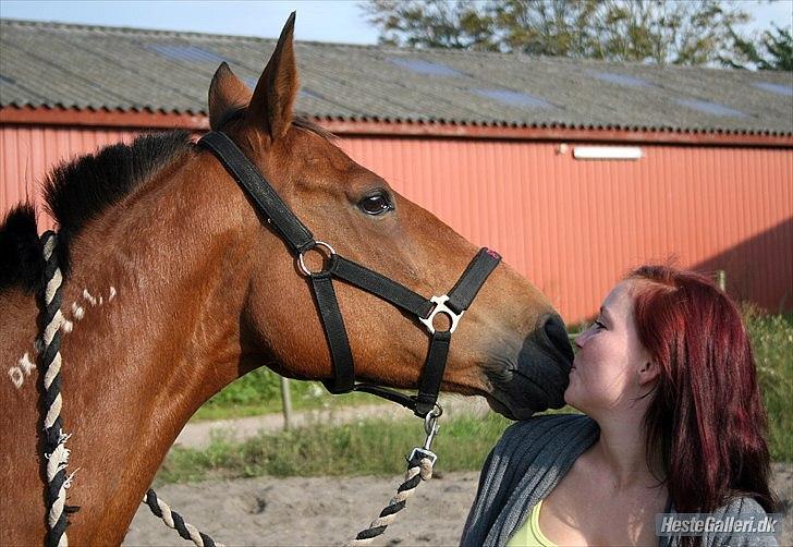 Kvinde Sandra - Det bedste jeg havde :'/
R.I.P Min smukke Prinsesse 1August 2011 :'/
Et af de sidste kys billede 8