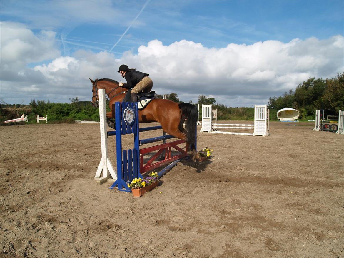 Kvinde Sandra - Det bedste jeg havde :'/
R.I.P Min smukke Prinsesse 1August 2011 :'/
Vi kunne alt sammen om vi kom rigtig langt og hjem med noget storset du har givet mig 11 placeringer med hjem .. Du klarede det godt min pige <3 billede 9