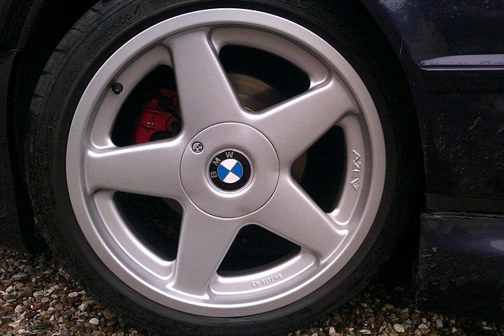 Mand Kevin billede 2