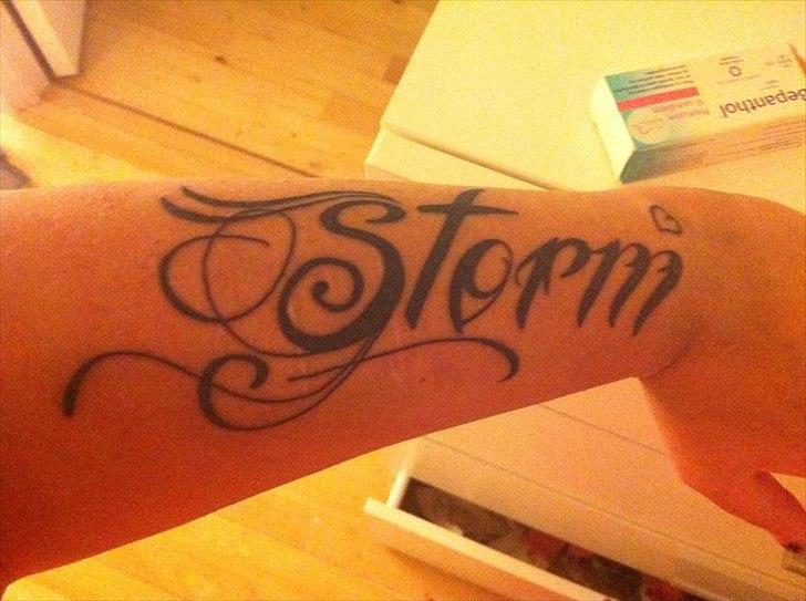 Kvinde » STORM  « billede 2