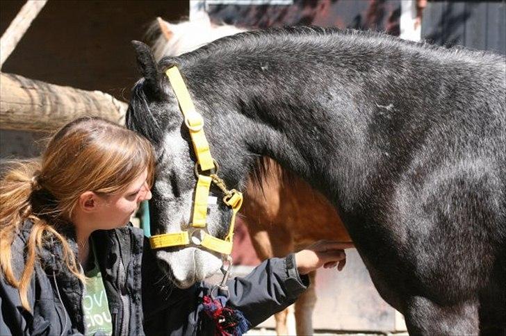 Kvinde Sjenne (skrigeskinken) - 'caus the biggest thing you ever learn is just to love and be loved back in return billede 11