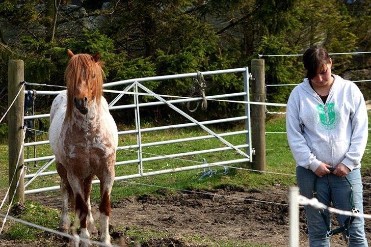 Kvinde Sjenne (skrigeskinken) - I do'snt need my eyes to see what our connection are billede 14