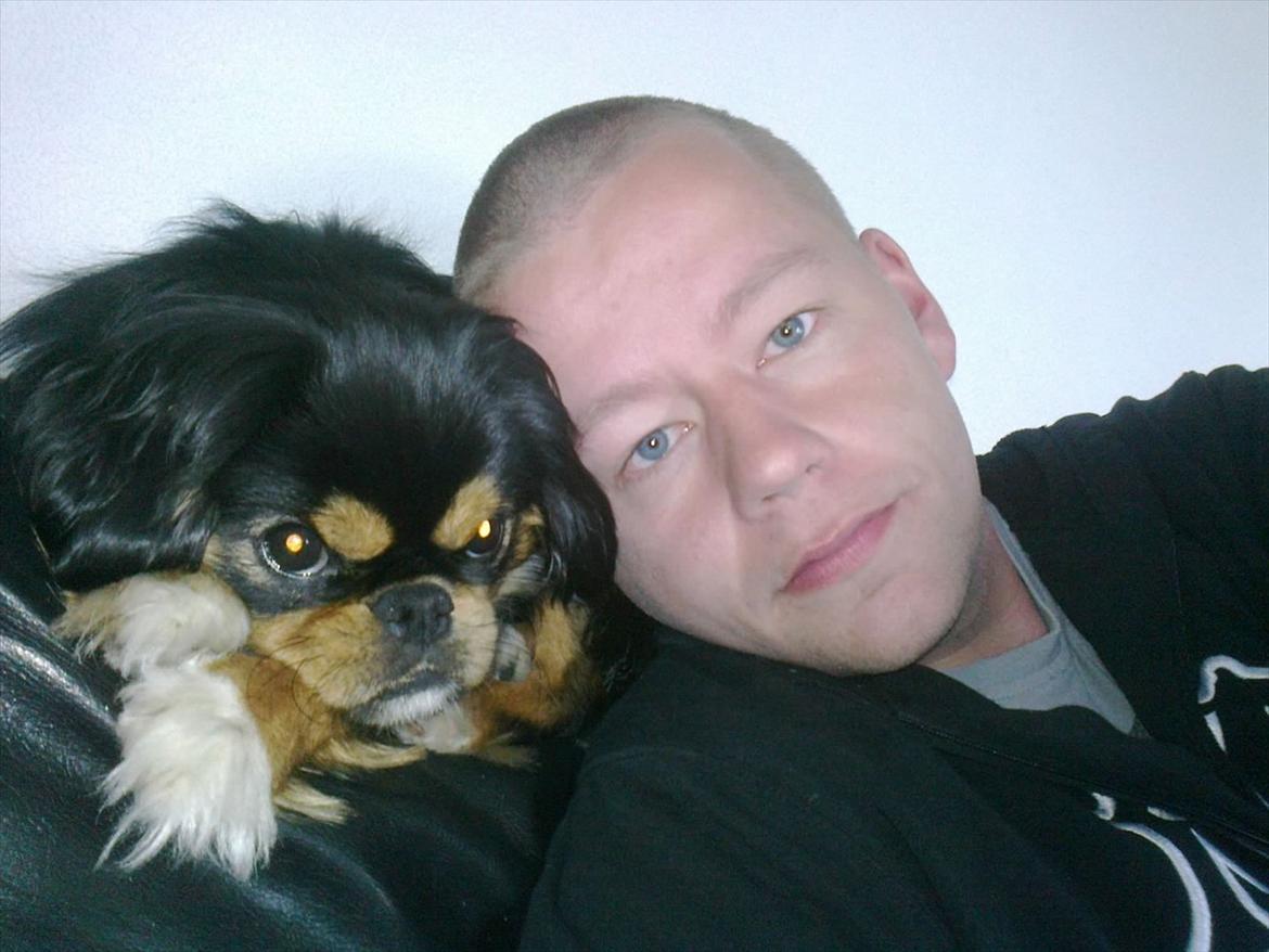 Mand Peter billede 6