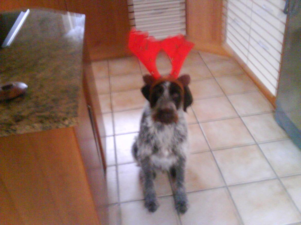 Mand Rasmus Clausen billede 2