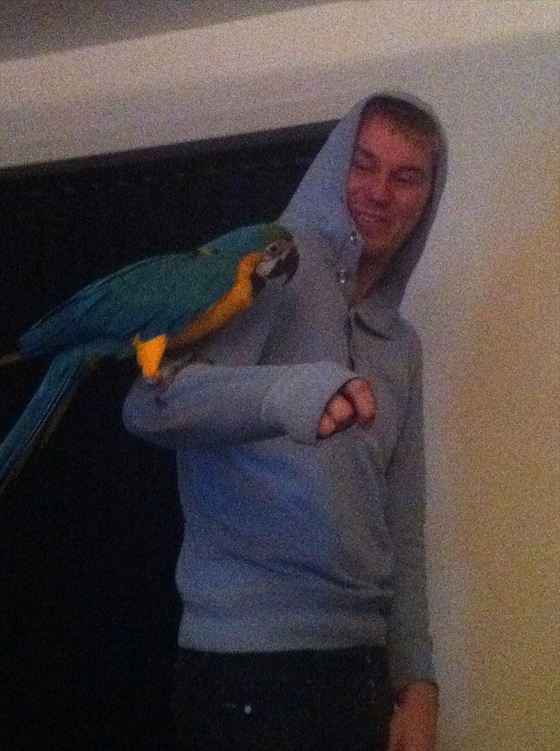 Mand Rasmus Clausen billede 10