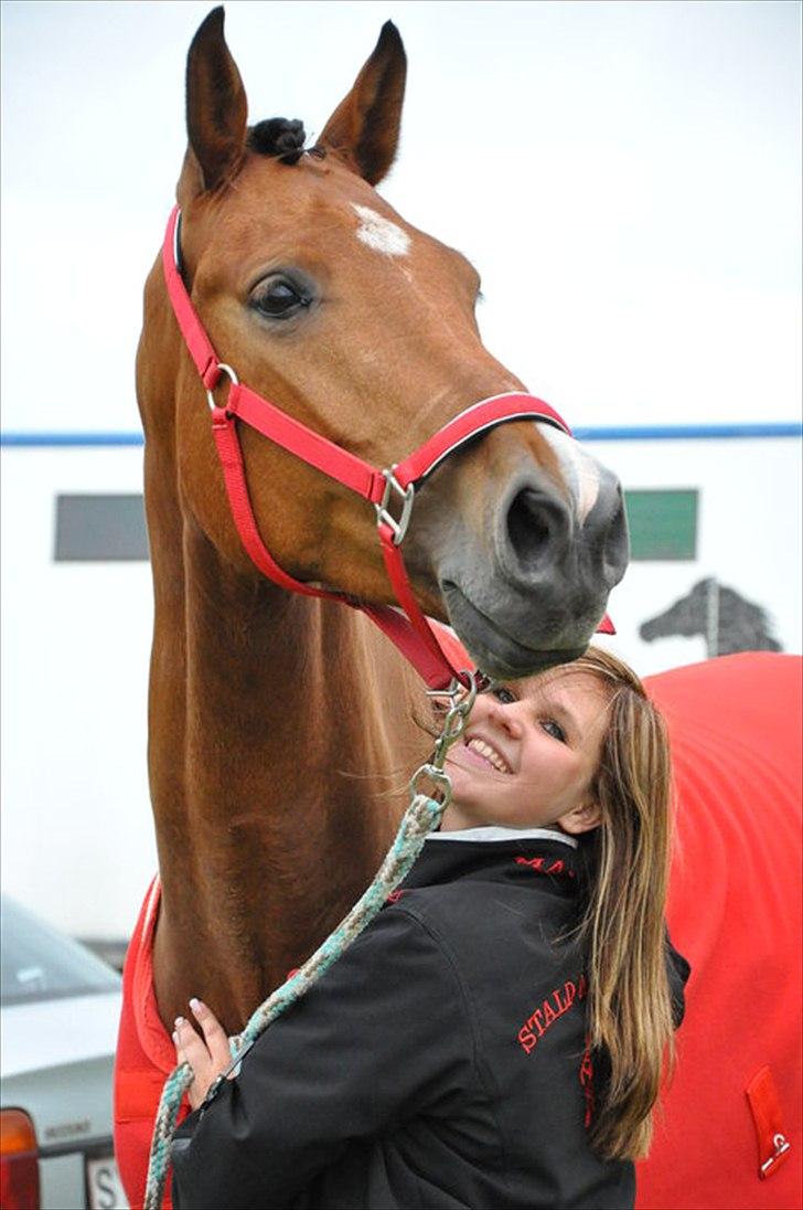 Kvinde Nicole - min elskede hest, som nu er på de evige græsmarker. jeg elsker og savner dig! der går ikke en dag hvor jeg ikke tænker på dig min engel<3 billede 4