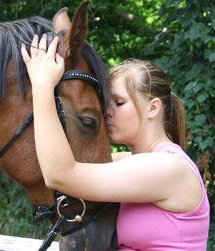 Kvinde Nicole - min elskede hest, som nu er på de evige græsmarker. jeg elsker og savner dig! der går ikke en dag hvor jeg ikke tænker på dig min engel<3 billede 5