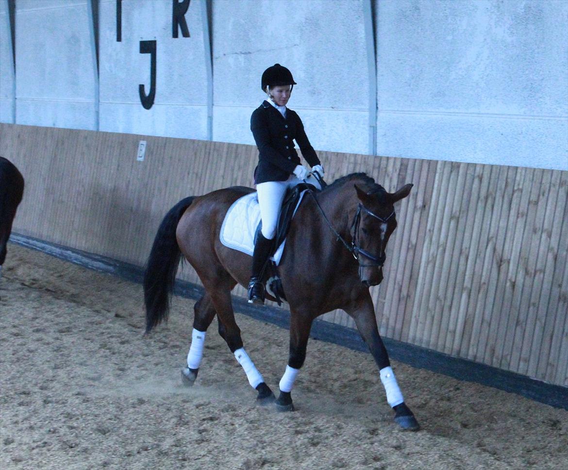 Kvinde Kristina billede 11