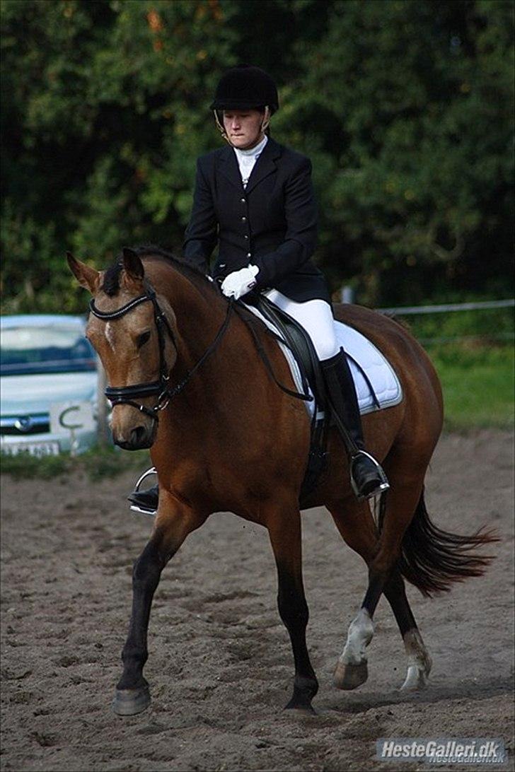 Kvinde Kristina billede 13