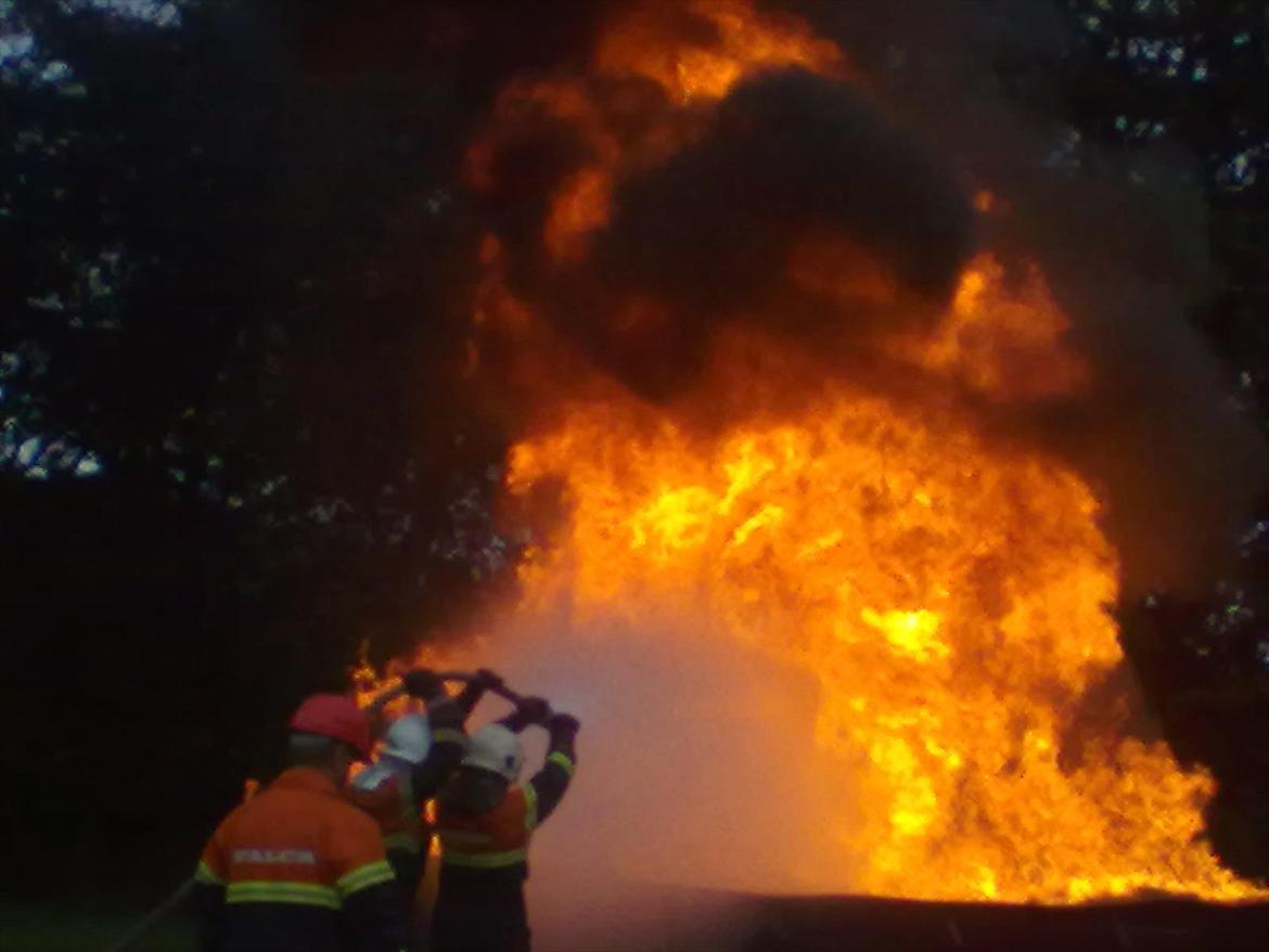 Mand allan billede 7