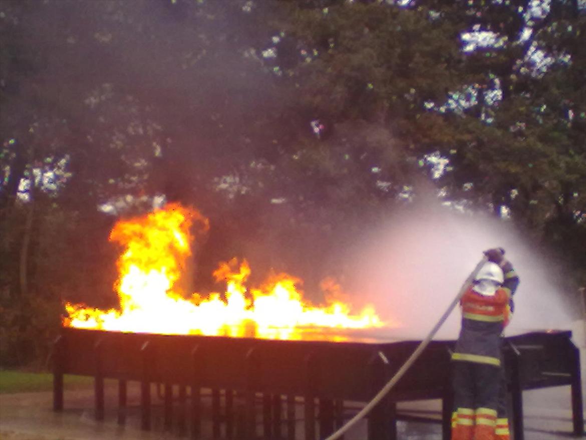 Mand allan billede 8