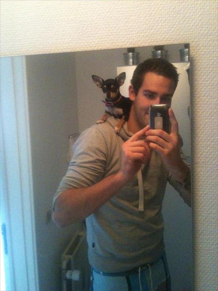 Mand Daniel billede 6