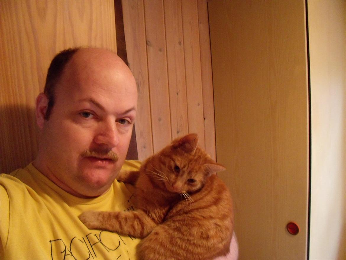 Mand Julemand - Det er min kat Anton billede 17