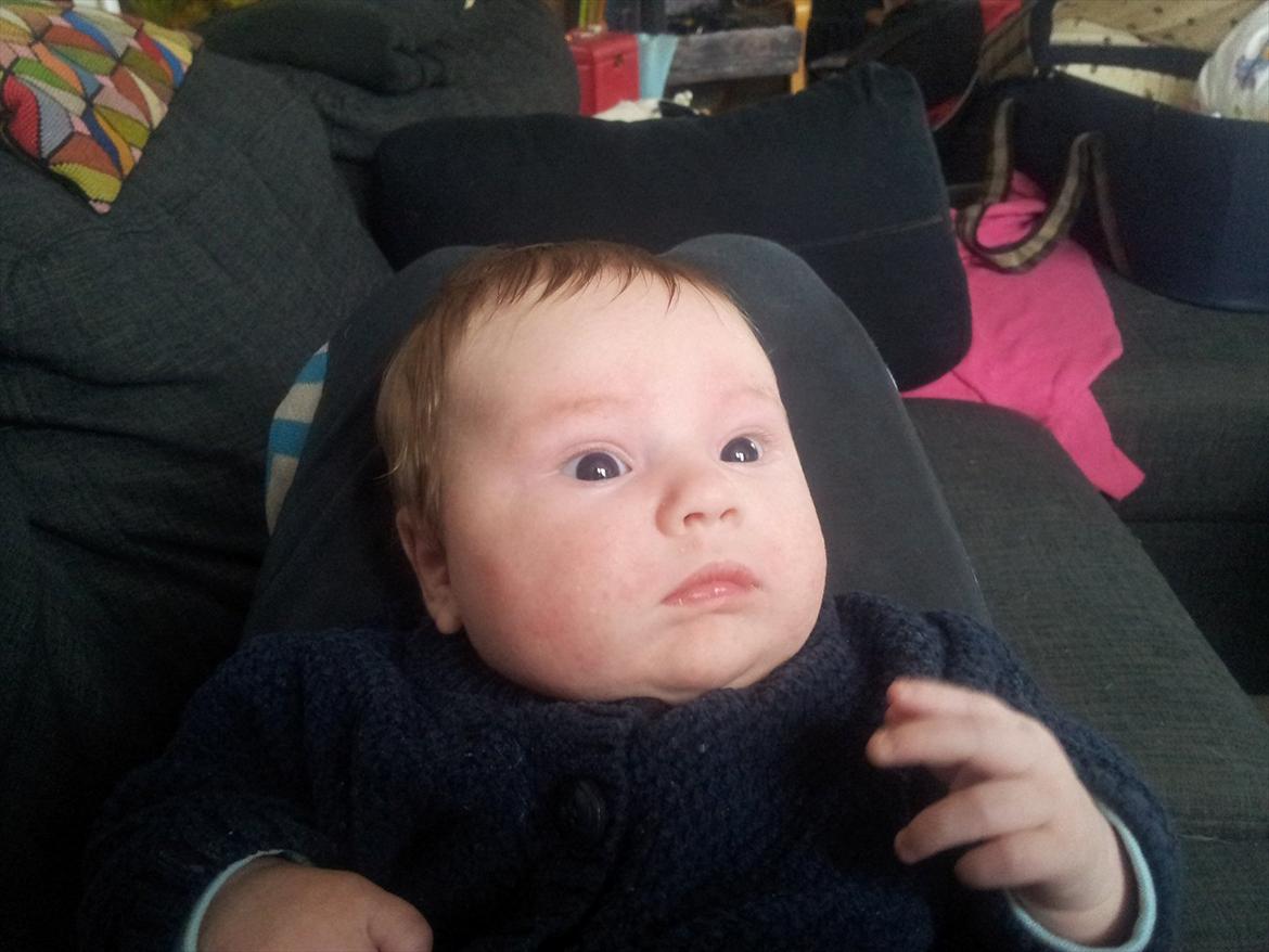 Mand Dan Andersen - det er så morten som han skal hede han er ikk så gammel han er født den 30-11-2011  billede 15