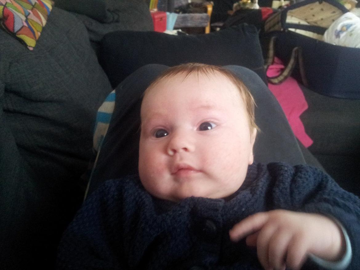 Mand Dan Andersen - han er også så dejlige min dreng  billede 16