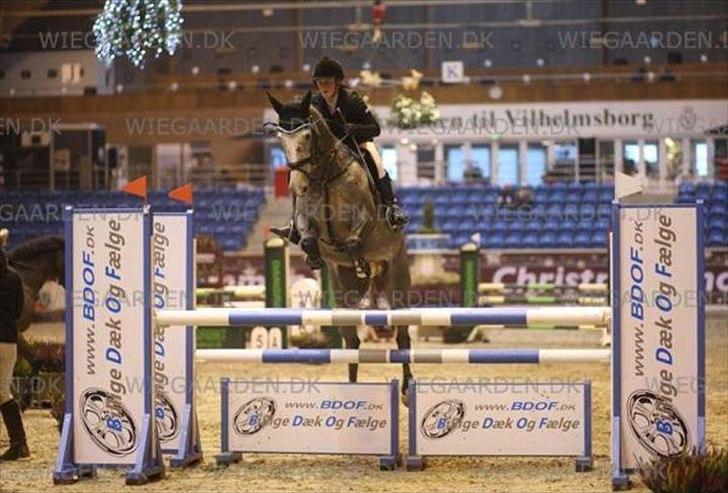 Kvinde Sarah - SarahJesen & Annebel AK til Danish Derby Chrismas Show <3. billede 14