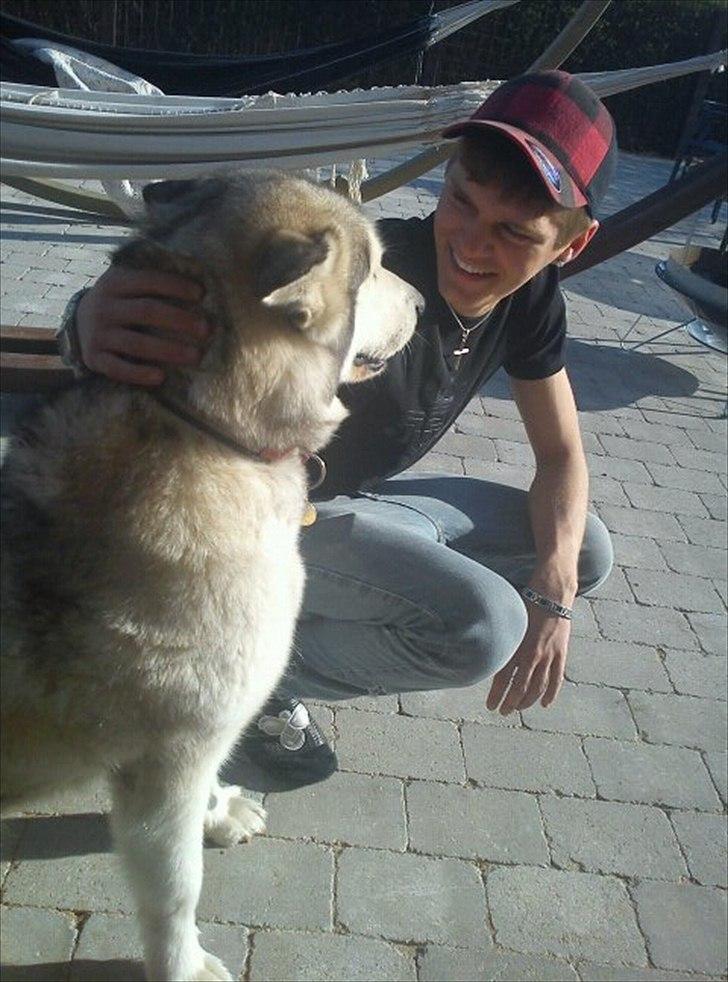 Mand Mads Brogaard billede 9