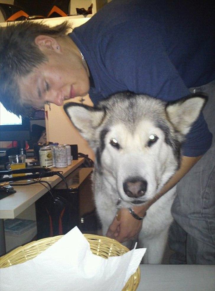 Mand Mads Brogaard billede 10