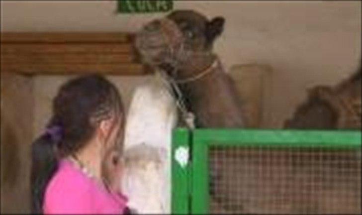 Kvinde Isabella billede 13