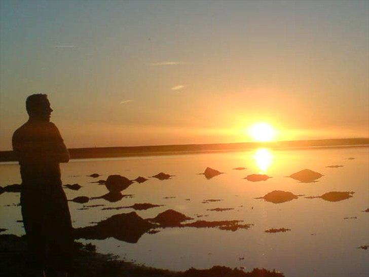 Mand jannik P billede 1