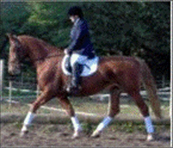 Kvinde Sarah billede 4