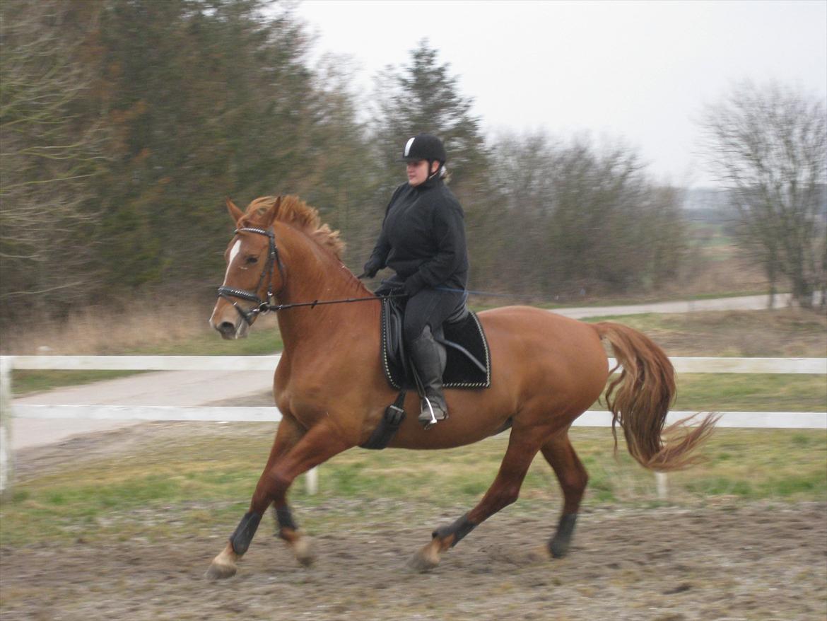 Kvinde Sarah billede 5