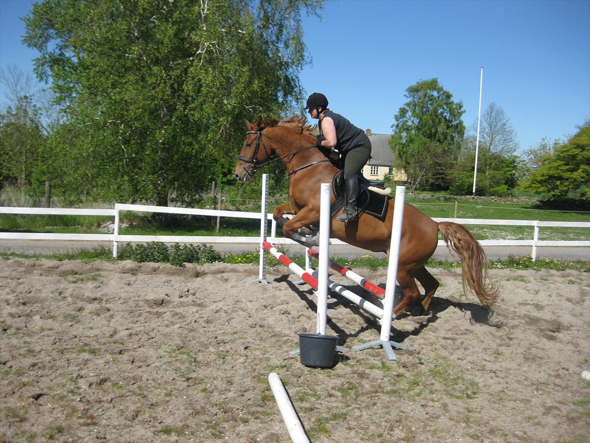 Kvinde Sarah billede 8