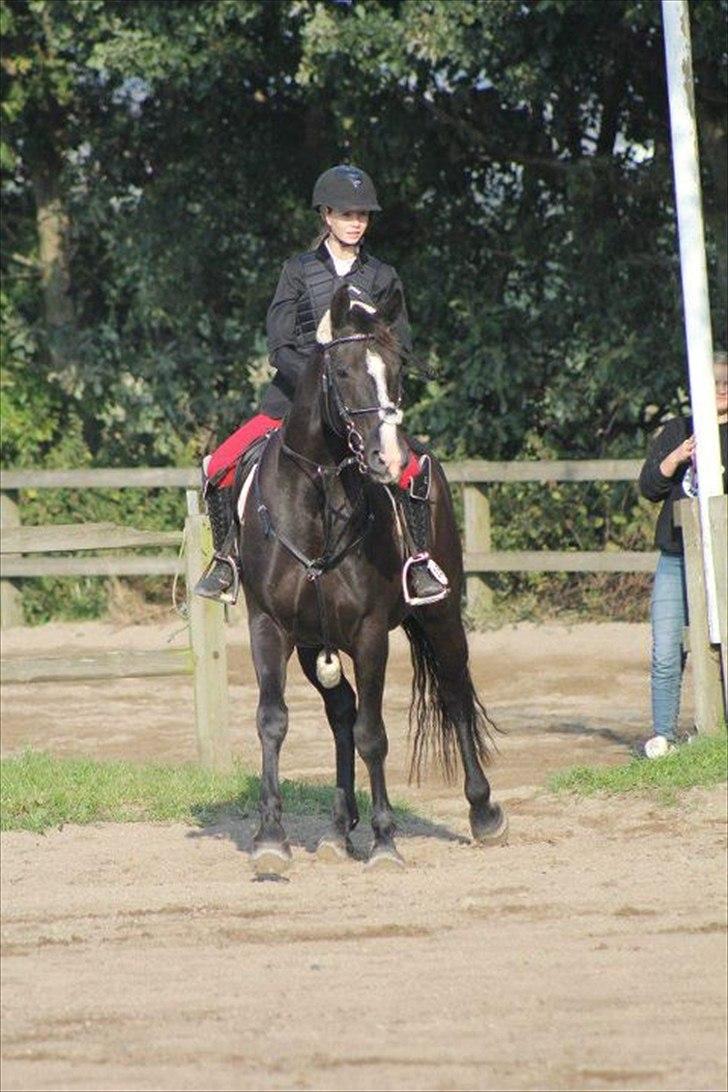 Kvinde Josephine :-) billede 7