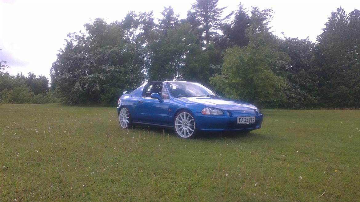 Mand Karsten billede 14