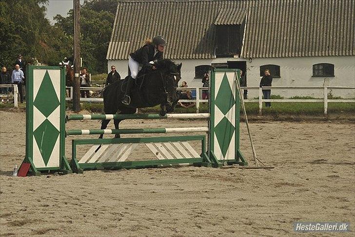 Kvinde Anika - sporten & livet billede 2