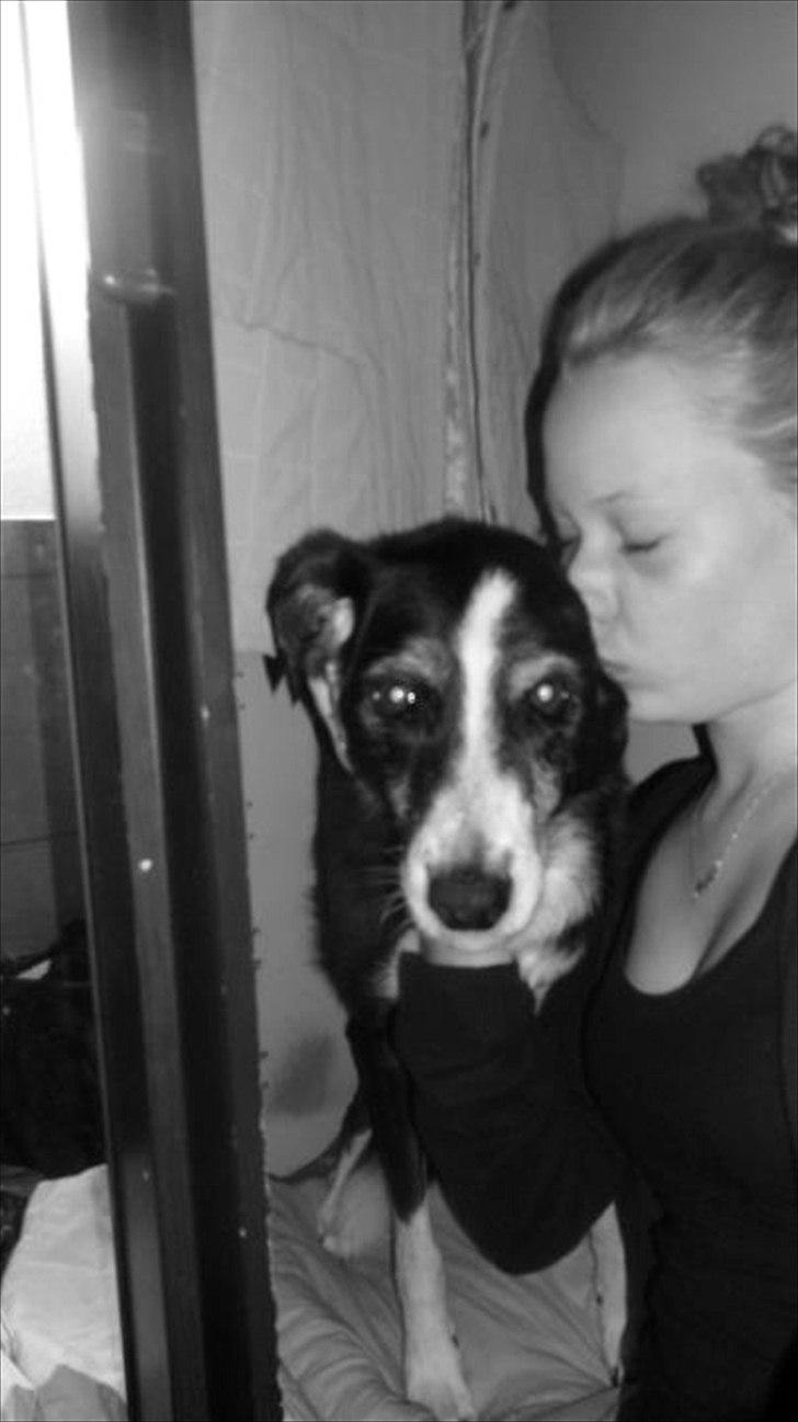 Kvinde Anika - RIP Trixi <3 billede 6