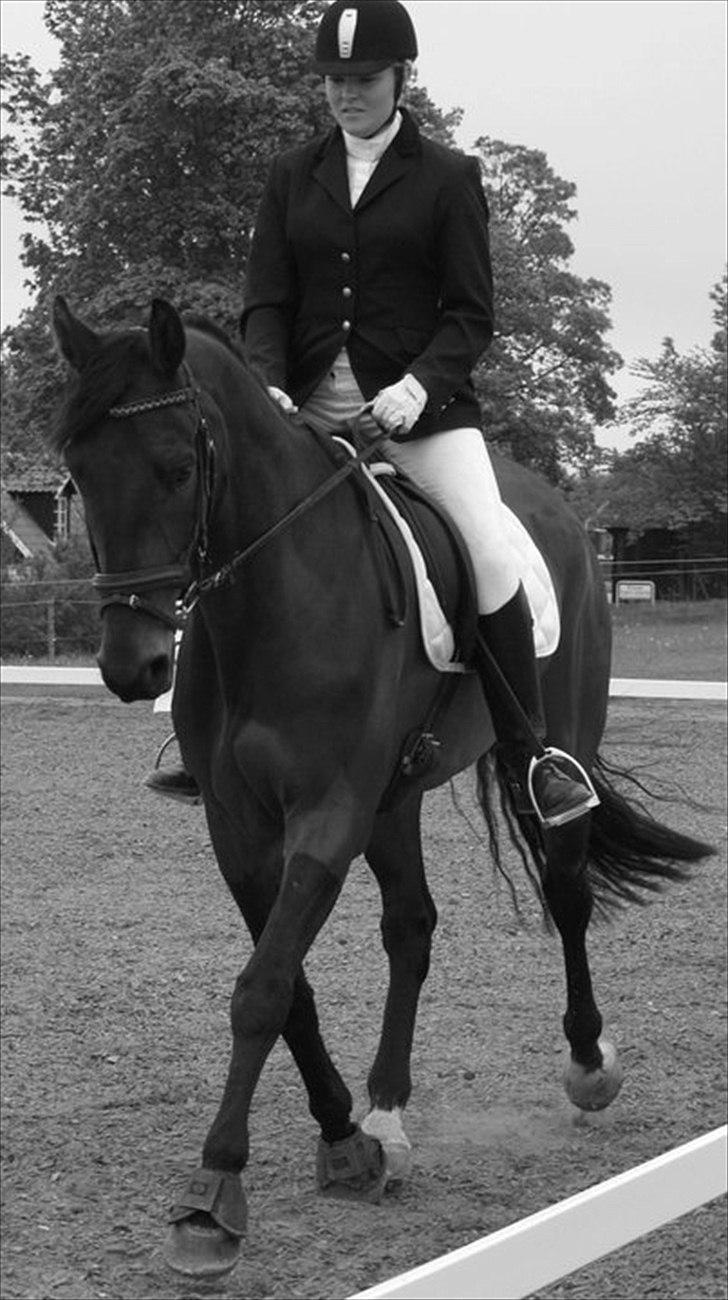 Kvinde Carina - Dressur på stjernen. billede 3