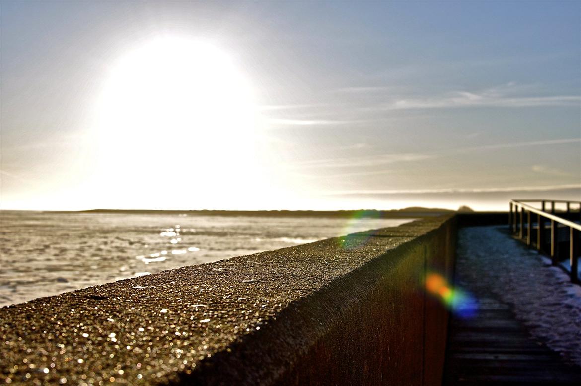 Mand Daniel  - Taget på Rømø, Havneby billede 4