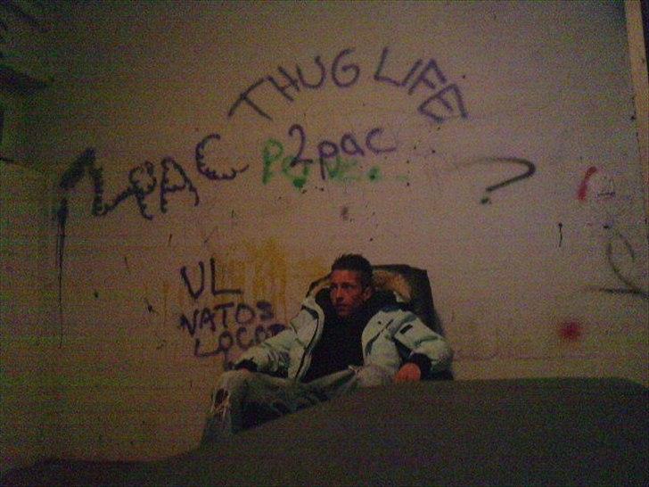 Mand apo yilo billede 2