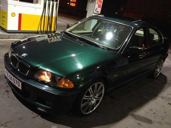 Mand apo yilo billede 5