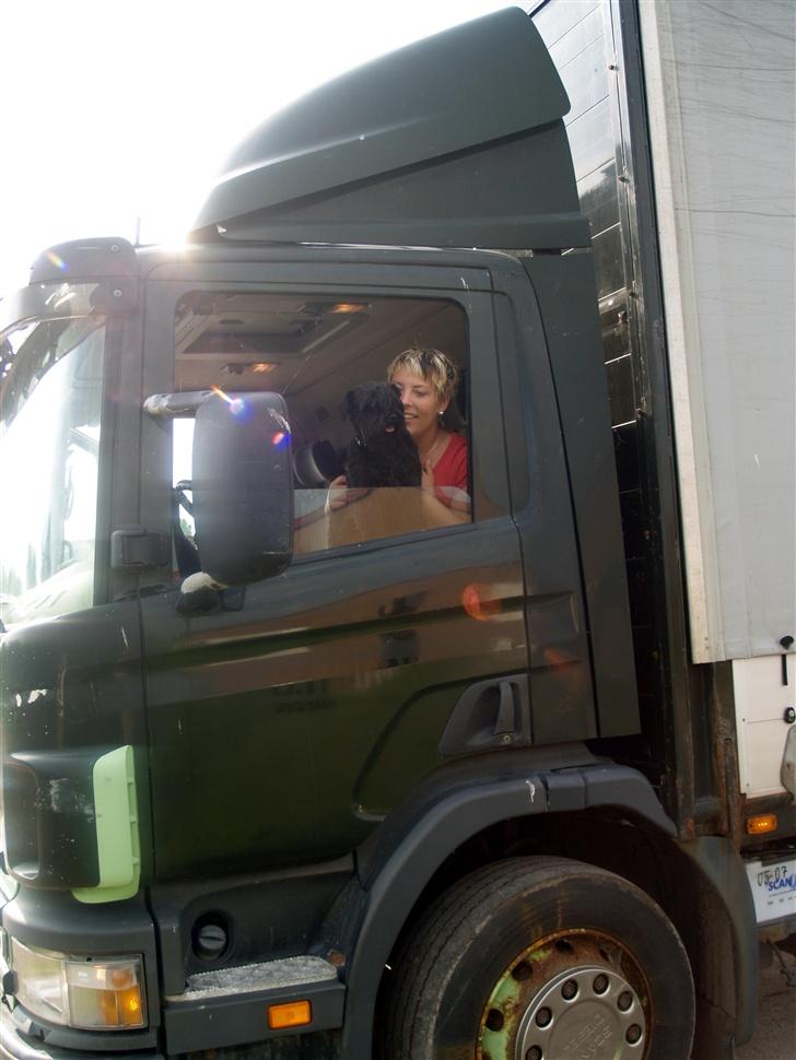 Kvinde TAZ - joo.... vi øver os skam billede 16