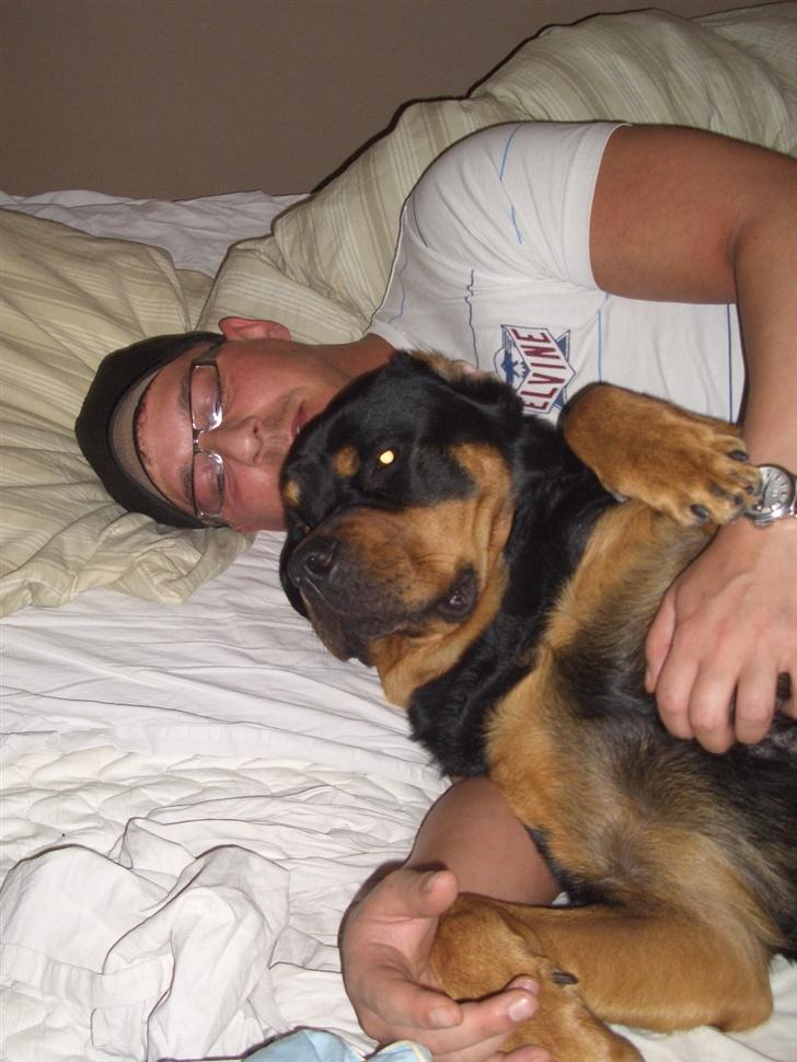 Mand Michael billede 2