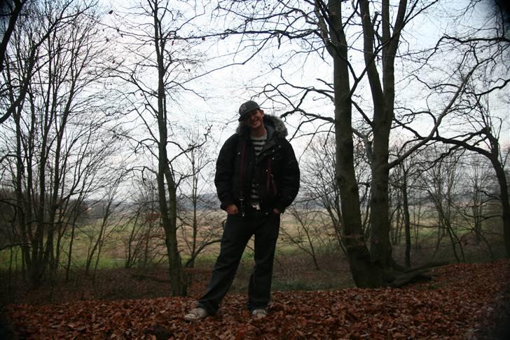 Mand Q - I skoven.. billede 18