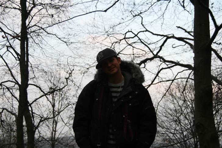 Mand Q - I skoven billede 19